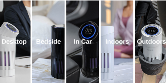 The Guide to Air Purifiers